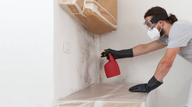Professional Crawl Space Mold Remediation technician working in Waverly, NY