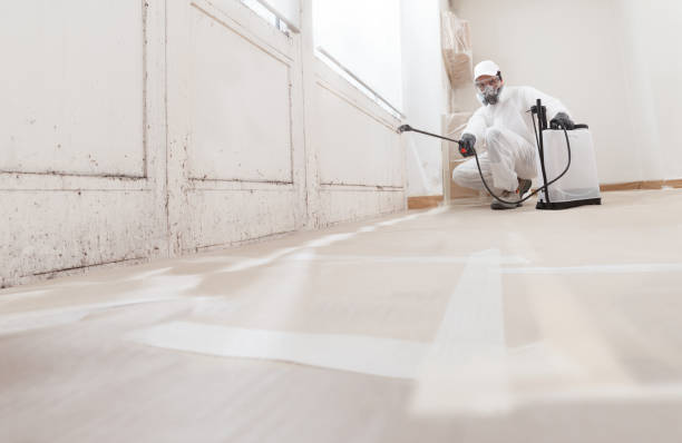 24/7 Emergency Crawl Space Mold Remediation experts in Waverly, NY